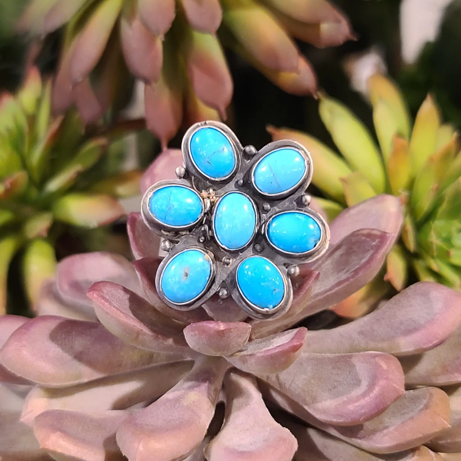 " Citali " 1 " Citali "