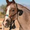 Professional's Choice Black And Serape Cowboy Braided Halter