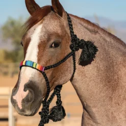 Professional's Choice Black And Serape Cowboy Braided Halter