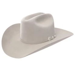 Resistol City Limits 6X Silver Belly Felt Hat