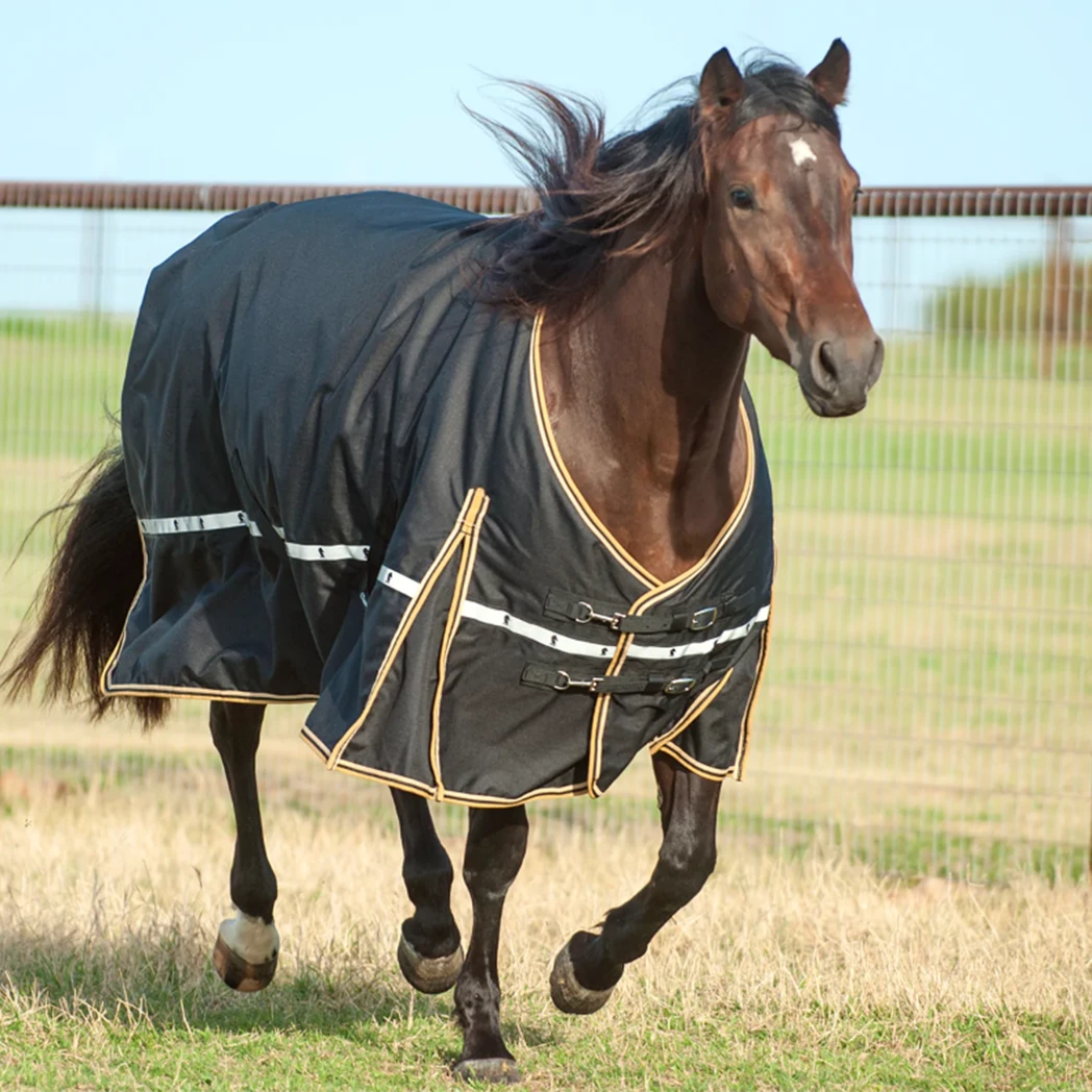 Classic Equine 5K Cross Trainer Horse Blanket - Flint 2 Classic Equine 5K Cross Trainer Horse Blanket - Flint - Image 2