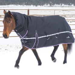 Equestrian Supplies Clothing Store -Equestrian Supplies Clothing Store Screenshot2022 10 09134000