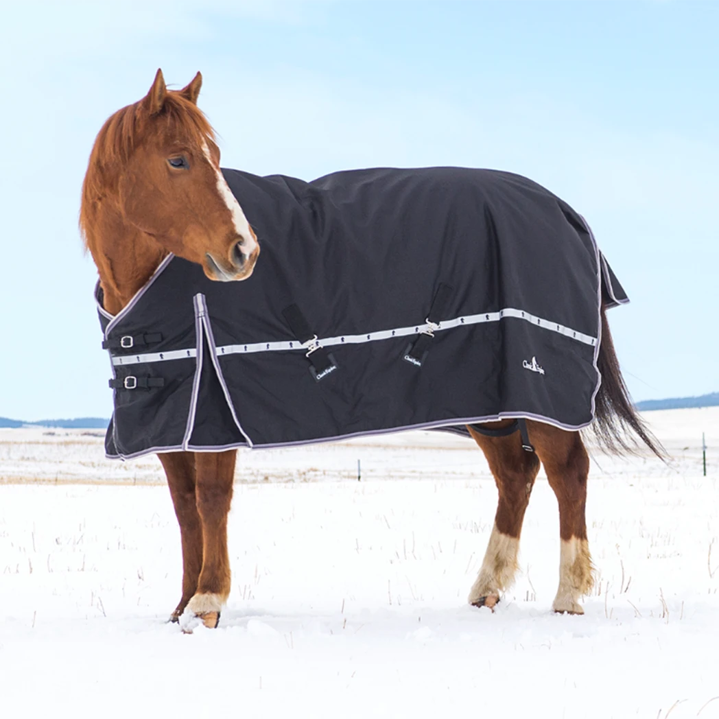 Classic Equine 10K Cross Trainer Winter Horse Blanket - Turquoise 2 Classic Equine 10K Cross Trainer Winter Horse Blanket - Turquoise - Image 2