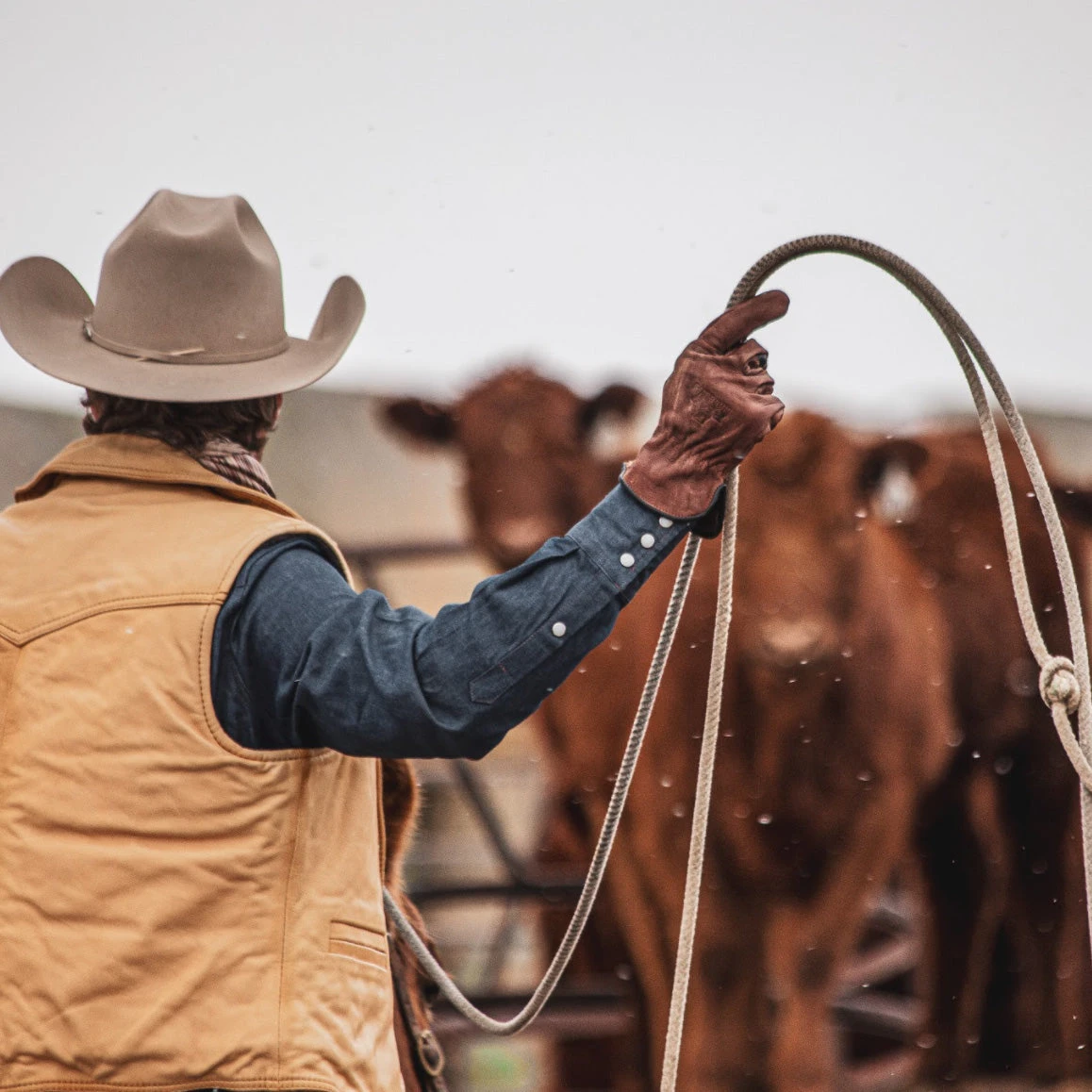 Cowhide Brown Gloves 2 Cowhide Brown Gloves - Image 2